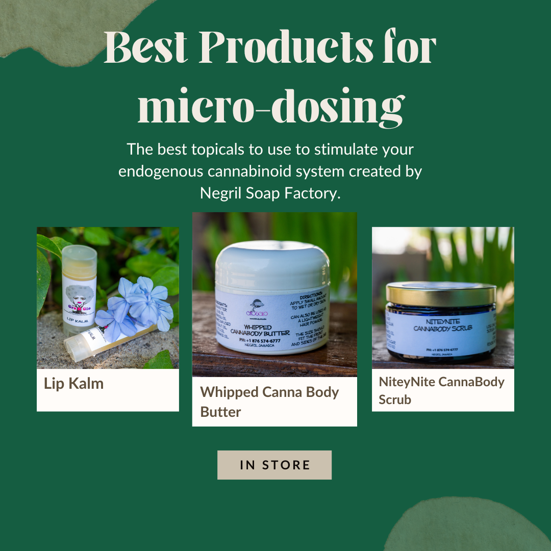 Gro N Glo — Best Products for Microdosing