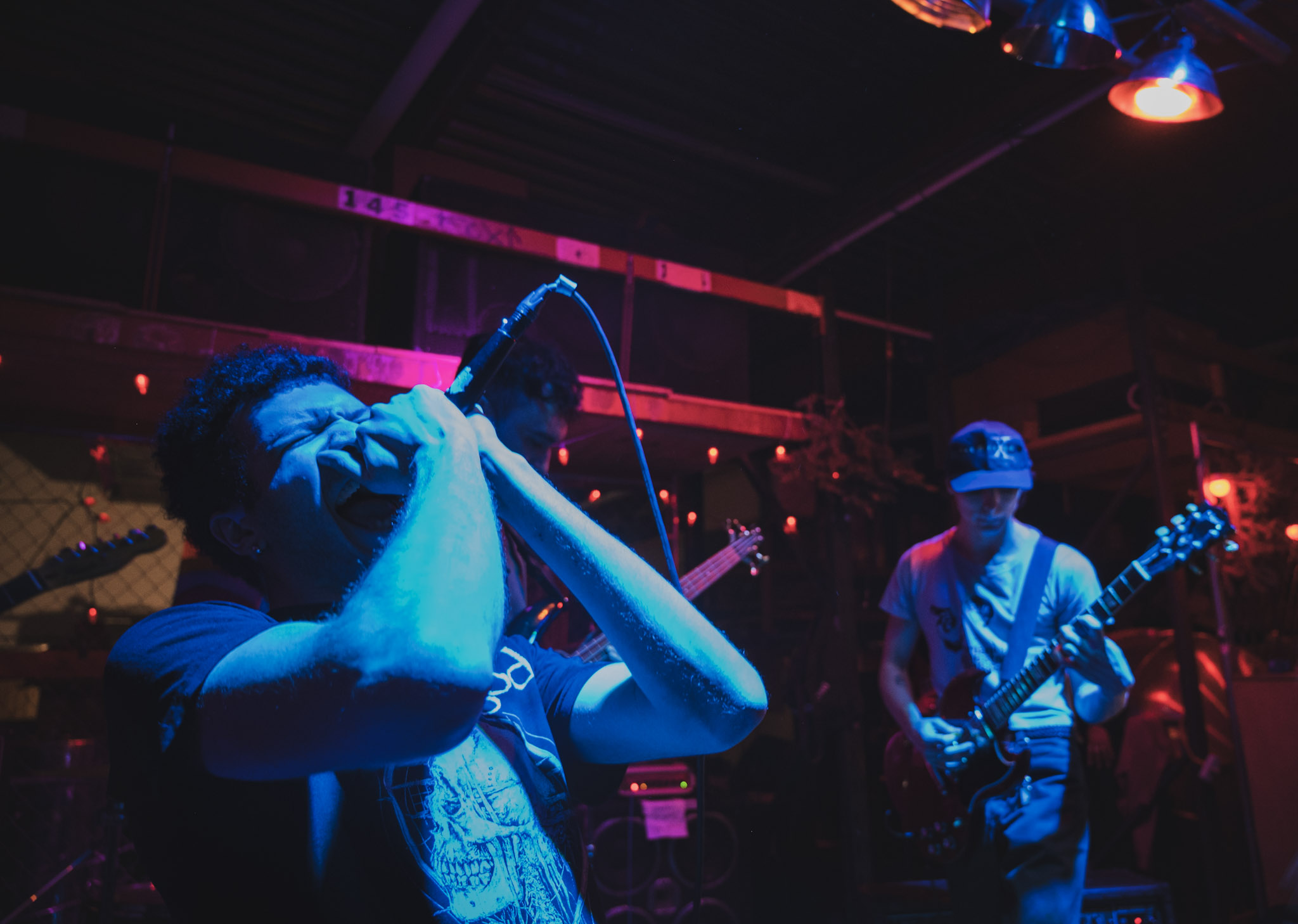 Concert Photography