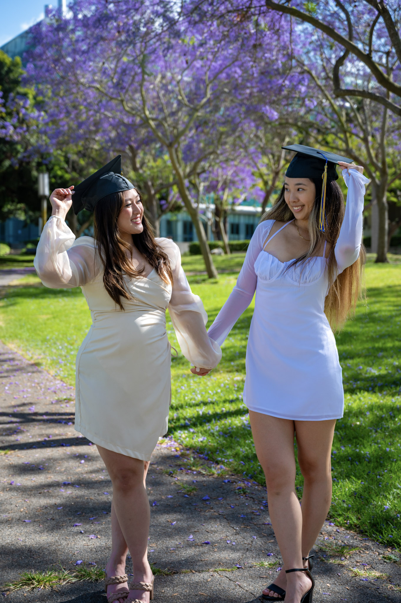 Graduation Season