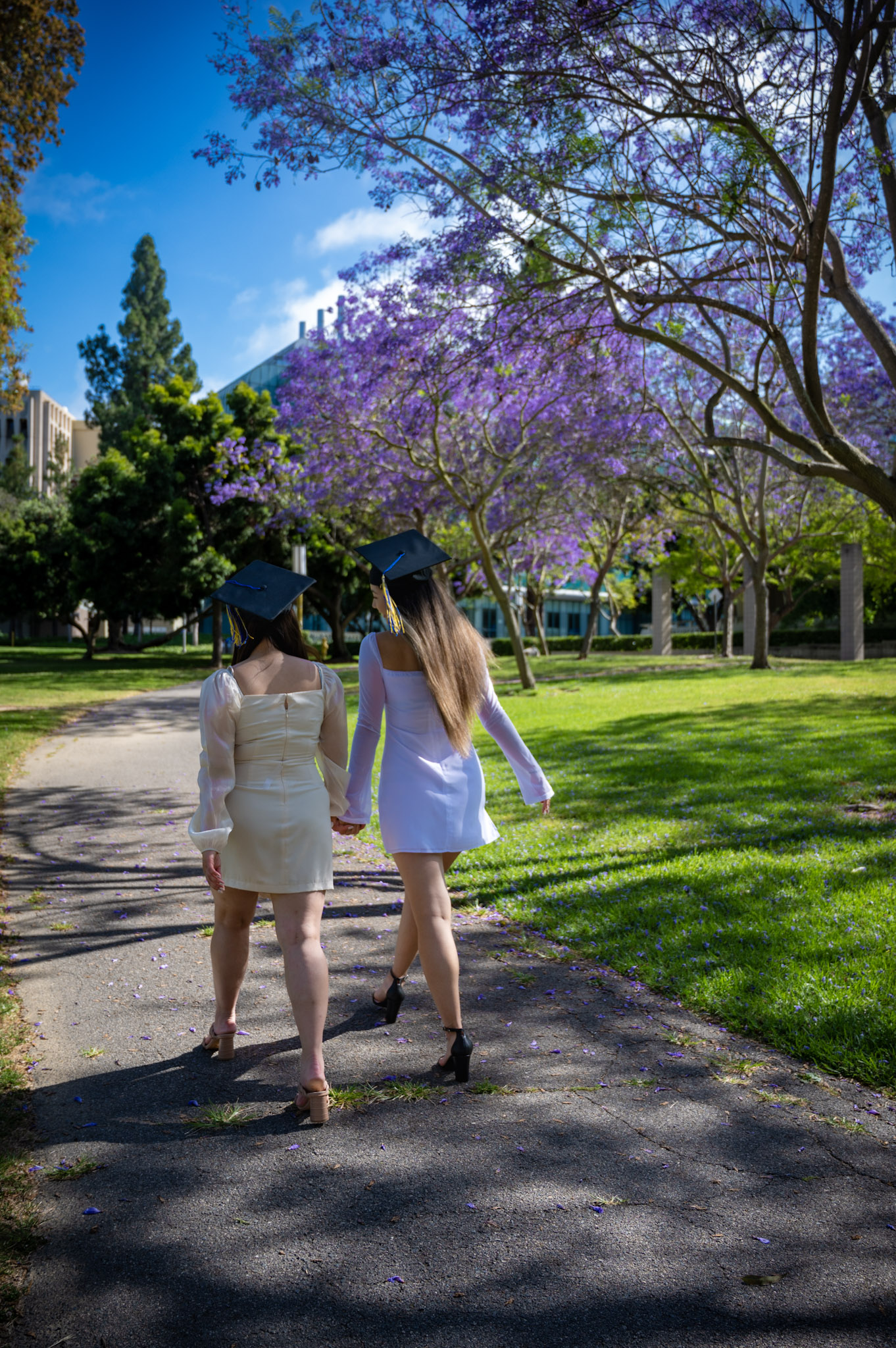 Graduation Season
